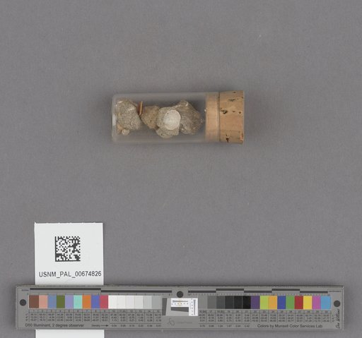 NSF ADBC EPICC TCN