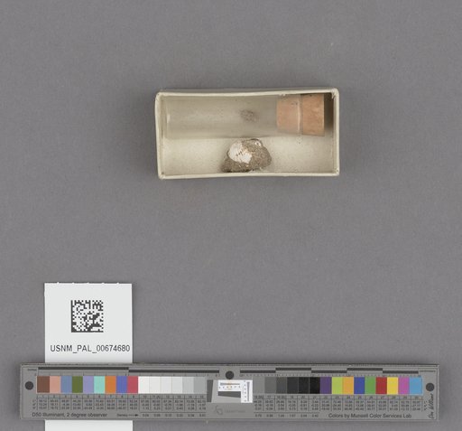 NSF ADBC EPICC TCN