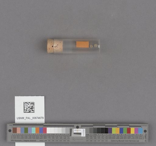 NSF ADBC EPICC TCN