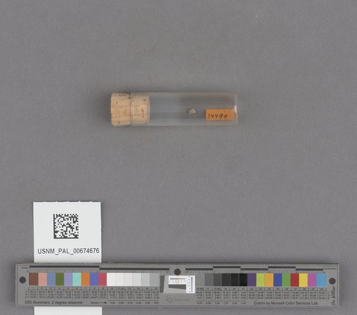 NSF ADBC EPICC TCN