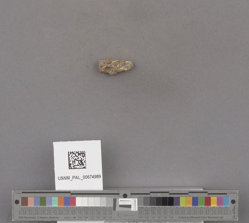 NSF ADBC EPICC TCN