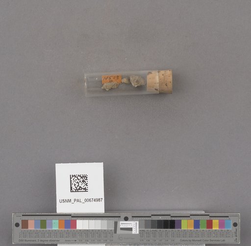 NSF ADBC EPICC TCN