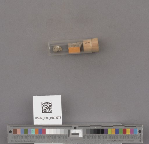 NSF ADBC EPICC TCN