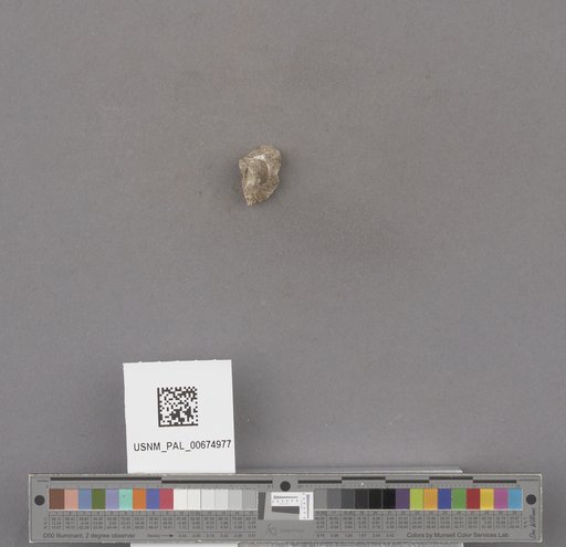NSF ADBC EPICC TCN