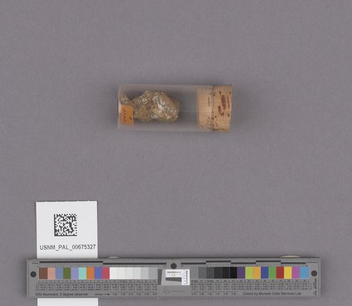 NSF ADBC EPICC TCN
