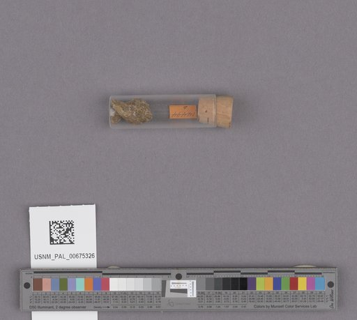 NSF ADBC EPICC TCN