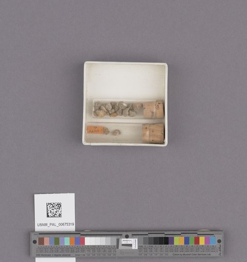 NSF ADBC EPICC TCN