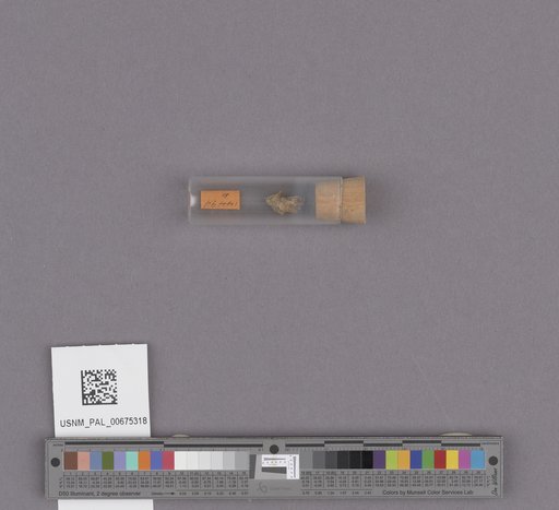 NSF ADBC EPICC TCN