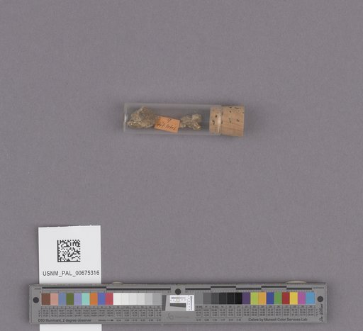 NSF ADBC EPICC TCN