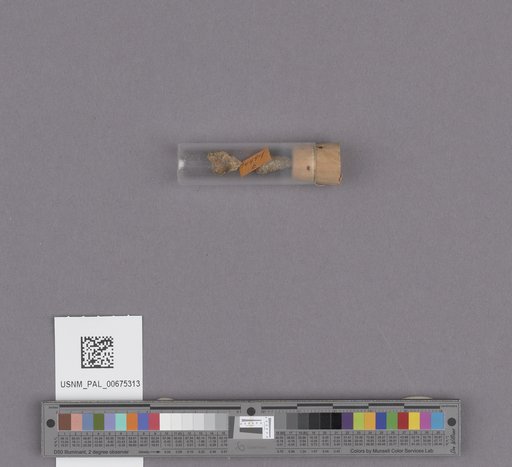 NSF ADBC EPICC TCN