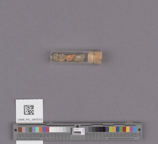 NSF ADBC EPICC TCN