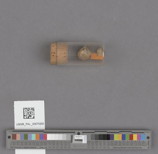 NSF ADBC EPICC TCN