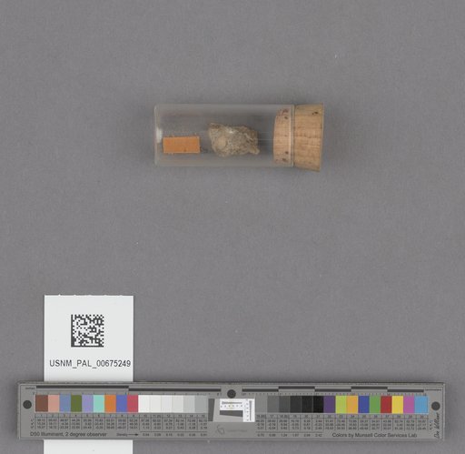 NSF ADBC EPICC TCN