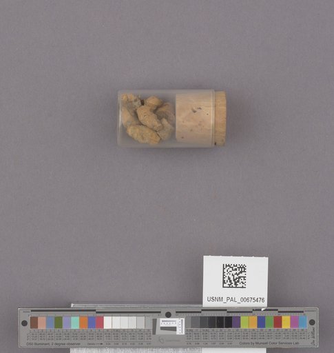 NSF ADBC EPICC TCN