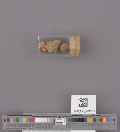 NSF ADBC EPICC TCN