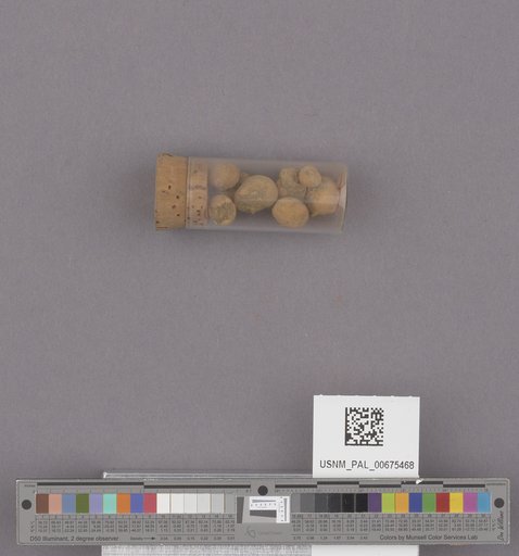 NSF ADBC EPICC TCN