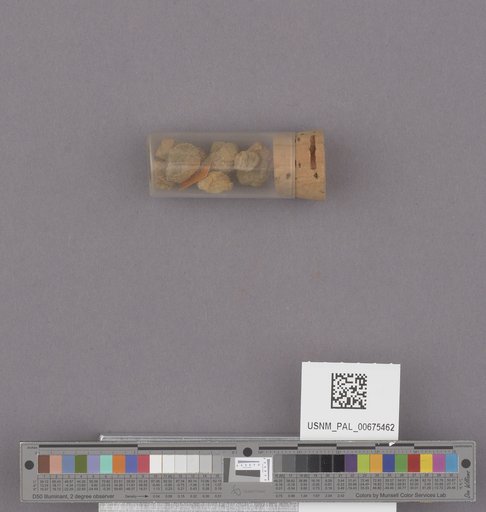 NSF ADBC EPICC TCN