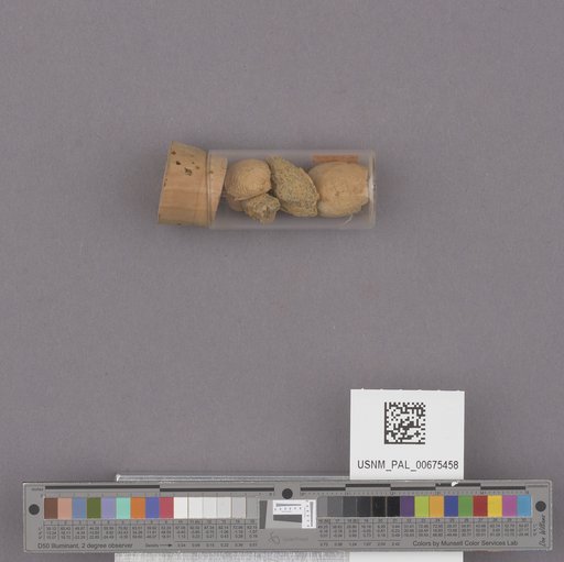 NSF ADBC EPICC TCN