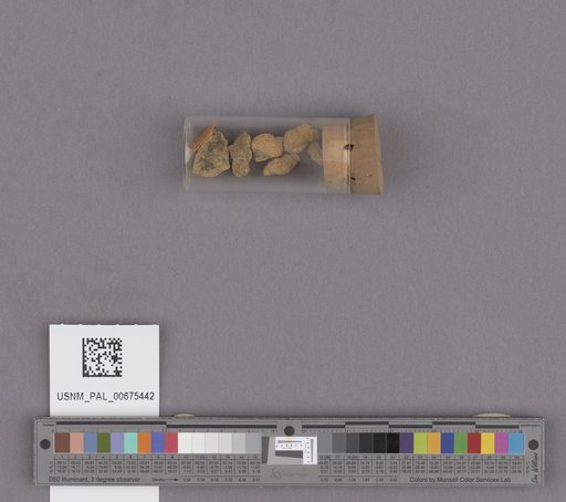 NSF ADBC EPICC TCN
