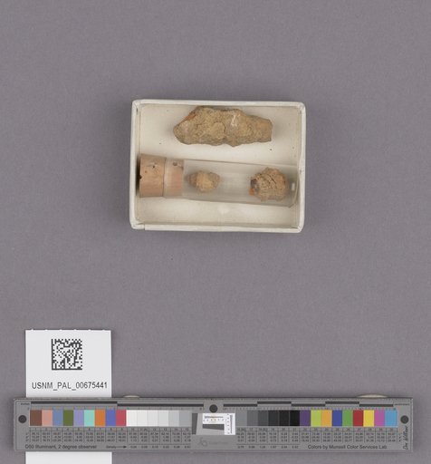 NSF ADBC EPICC TCN