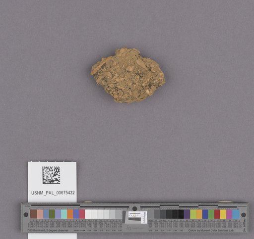 NSF ADBC EPICC TCN