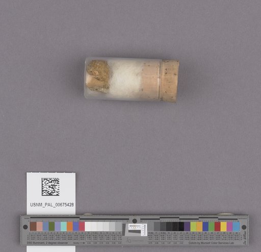 NSF ADBC EPICC TCN
