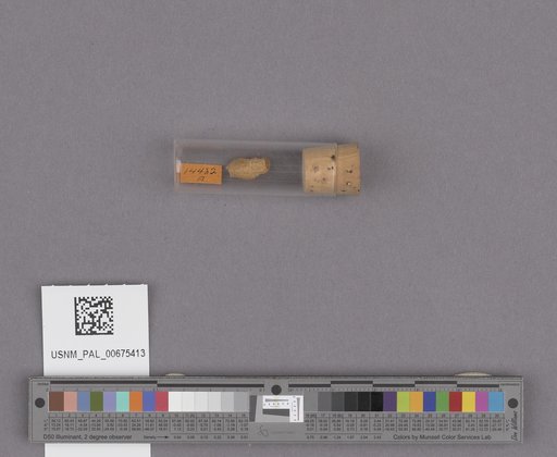 NSF ADBC EPICC TCN
