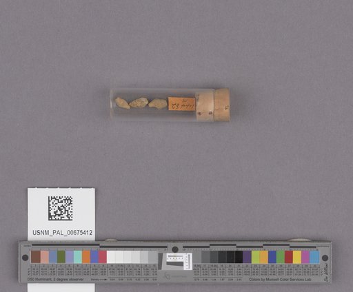 NSF ADBC EPICC TCN