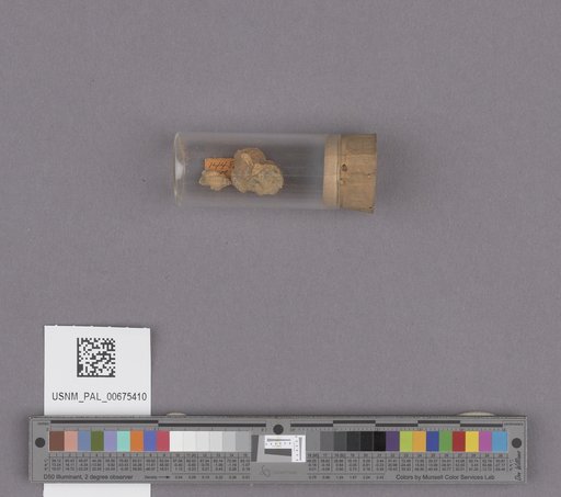 NSF ADBC EPICC TCN