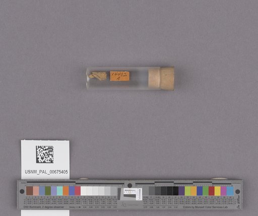 NSF ADBC EPICC TCN