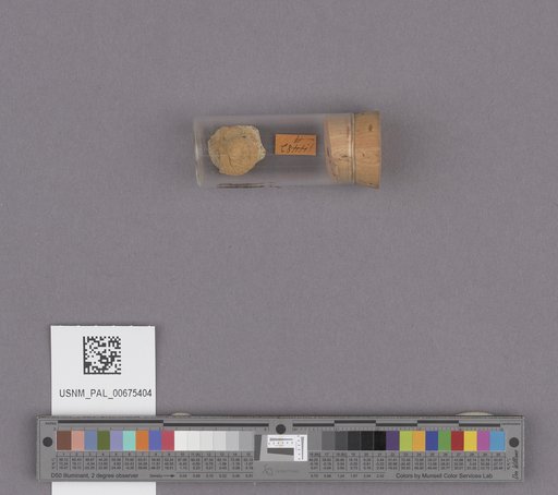 NSF ADBC EPICC TCN