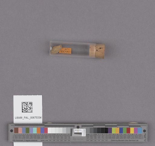 NSF ADBC EPICC TCN