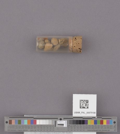 NSF ADBC EPICC TCN