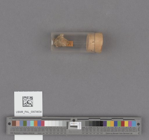 NSF ADBC EPICC TCN
