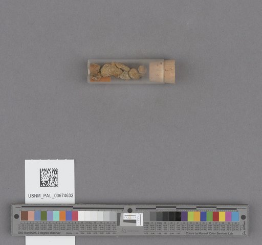 NSF ADBC EPICC TCN