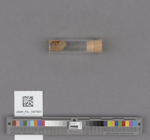 NSF ADBC EPICC TCN