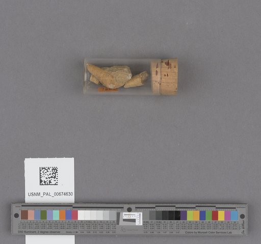 NSF ADBC EPICC TCN