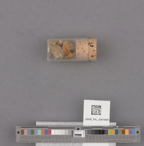NSF ADBC EPICC TCN