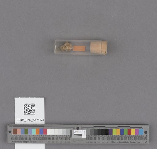 NSF ADBC EPICC TCN