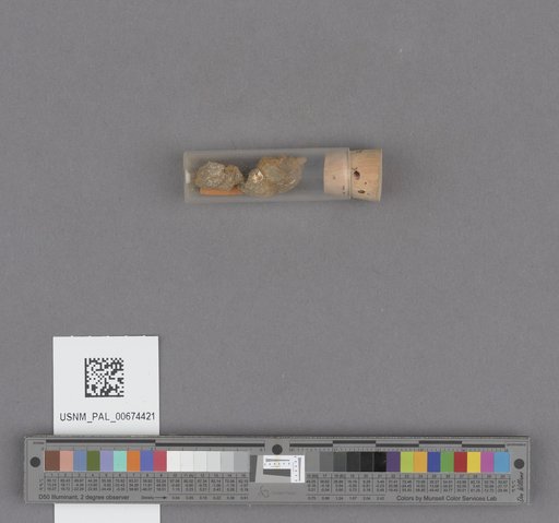 NSF ADBC EPICC TCN