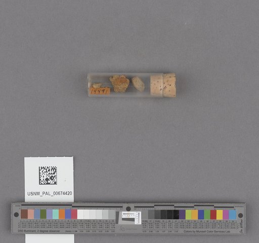 NSF ADBC EPICC TCN