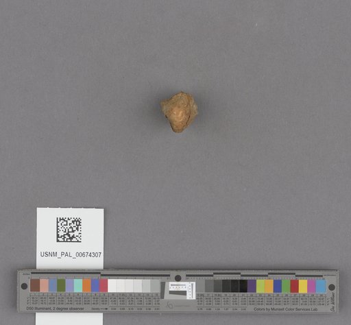 NSF ADBC EPICC TCN