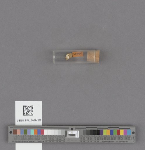 NSF ADBC EPICC TCN