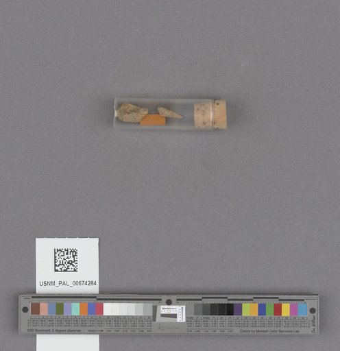 NSF ADBC EPICC TCN
