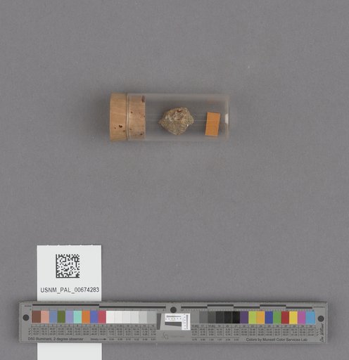 NSF ADBC EPICC TCN