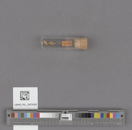 NSF ADBC EPICC TCN