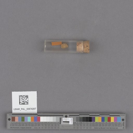 NSF ADBC EPICC TCN