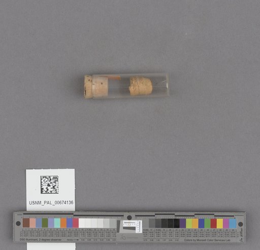NSF ADBC EPICC TCN