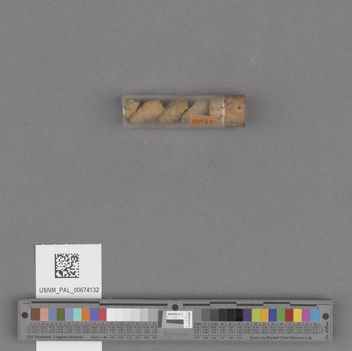 NSF ADBC EPICC TCN