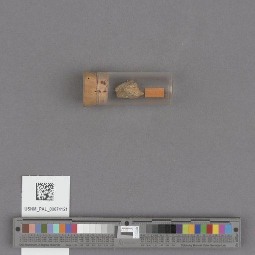 NSF ADBC EPICC TCN